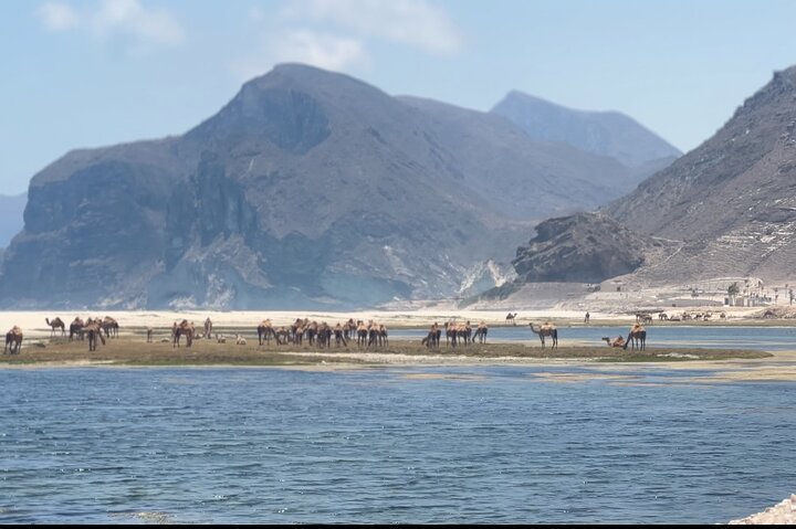 Full Day East and West Salalah Tour - West Salalah Tour