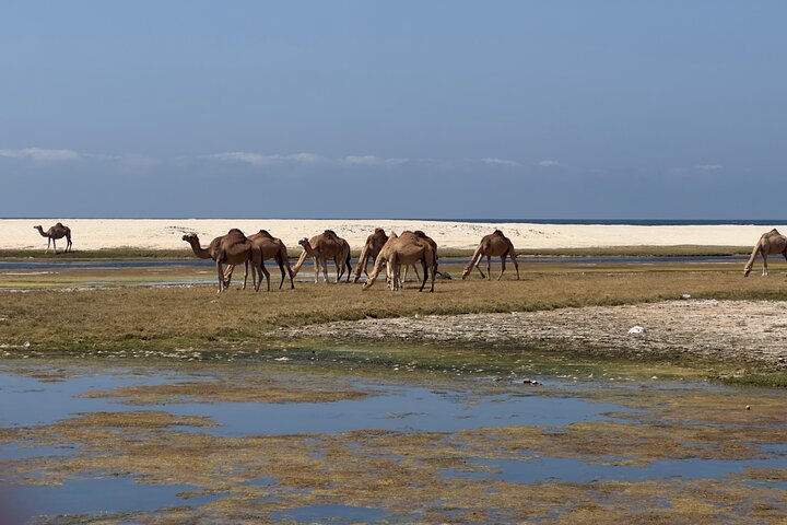 Full Day East and West Salalah Tour - West Salalah Tour