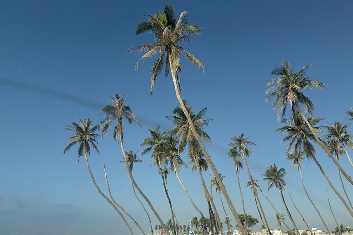 Full Day East and West Salalah Tour - West Salalah Tour