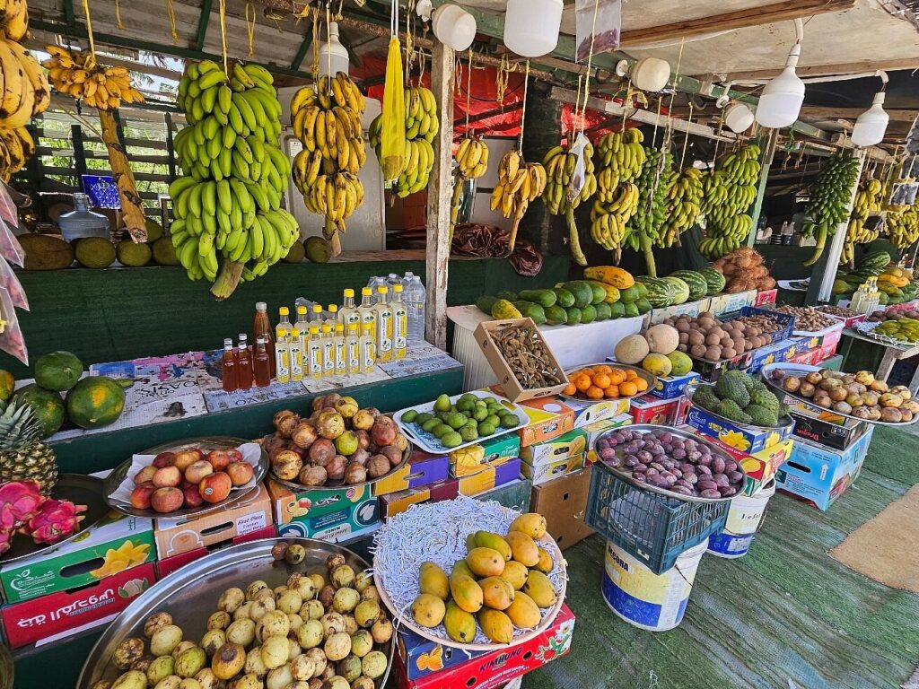 Ciao Salalah - Tour Packages in Salalah - Salalah City Tour
