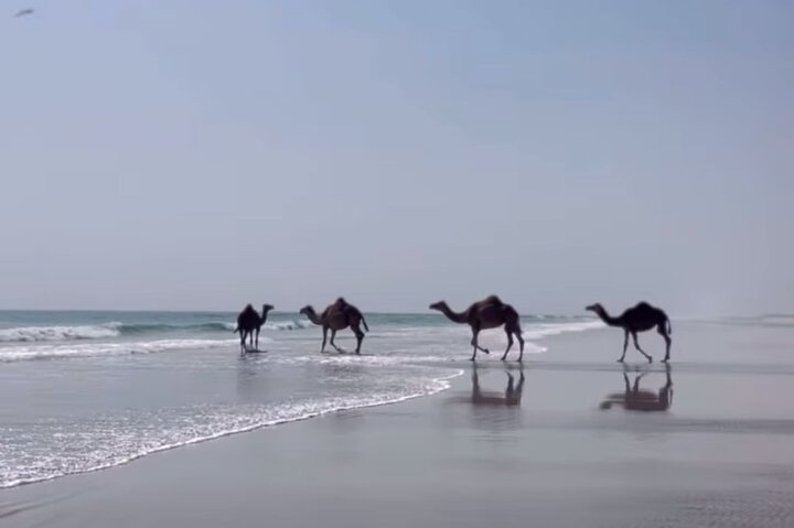 Full Day East and West Salalah Tour - West Salalah Tour