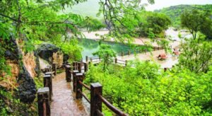 Ain Razat in Salalah – Refreshing Oasis Experience with Ciao Salalah Tours