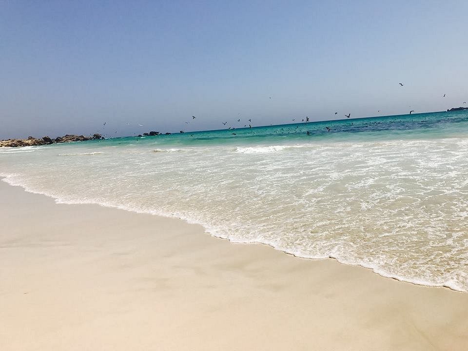 Al Fasayeh Salalah Tour