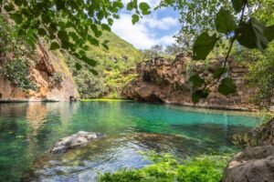 Ain Sahalnoot in Salalah – A Green Oasis Experience with Ciao Salalah Tours