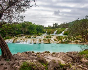 The Ultimate Wadi Darbat Tour Guide 2025: 12 Unmissable Reasons to Visit Salalah’s Green Paradise
