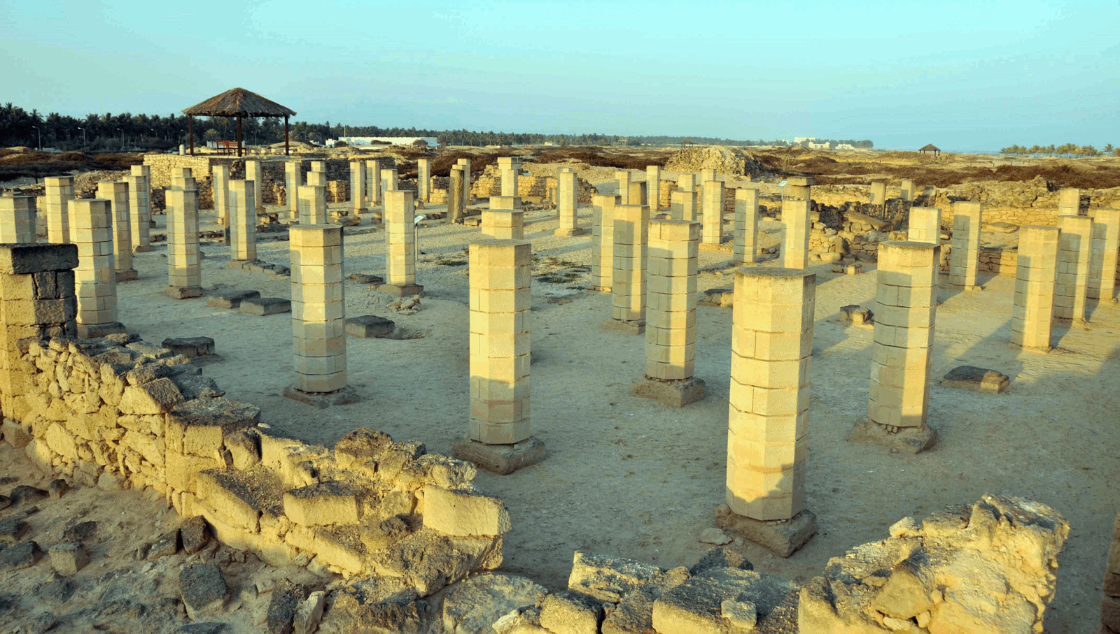 Top 7 Reasons to Explore with the Ultimate Salalah UNESCO Heritage Sites Tour (2025 Edition) - Ciao Salalah Tours