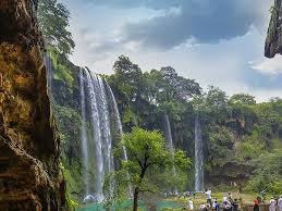 I Mille Colori del Khareef e Sarb: Perché Visitare Salalah a Settembre e Ottobre