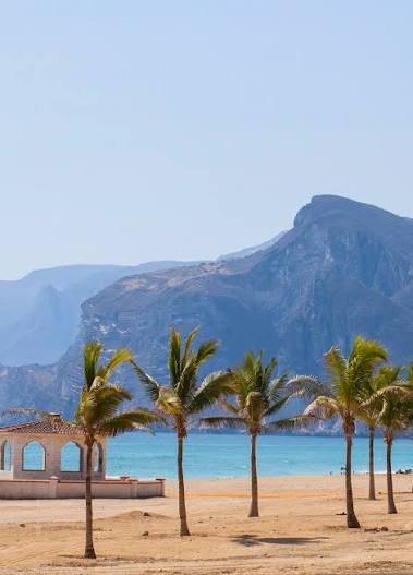 Le Spiagge Segrete di Salalah: 8 Imperdibili Tesori da Fazayah a Taqah con Ciao Salalah Tours